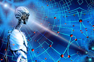 后备力量逐渐成型球队未来发展路径日益清晰，后备力量的定义