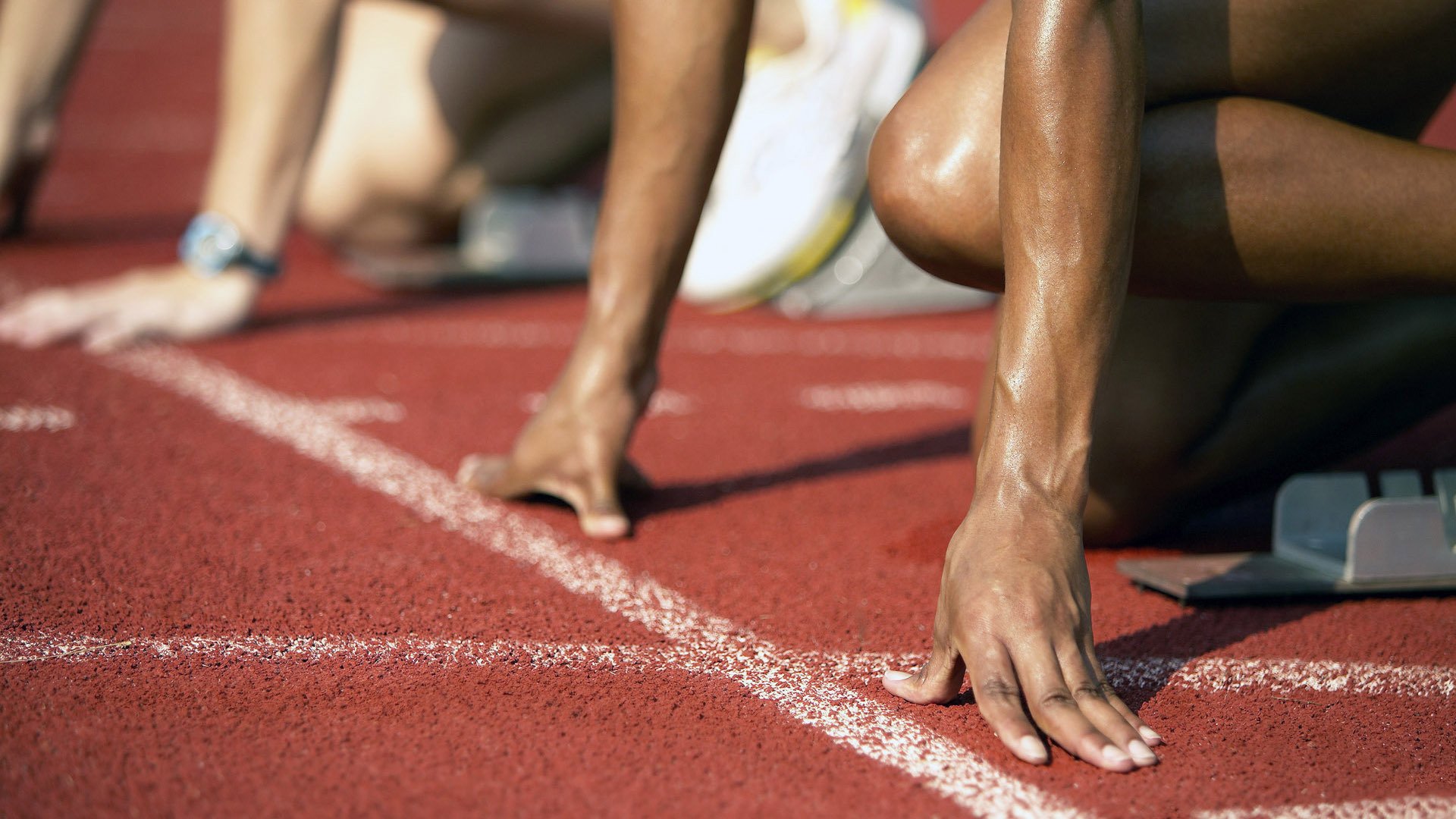 国家体育场馆运营管理论坛探讨智能化方向,国家体育总局体育场馆运营管理办法